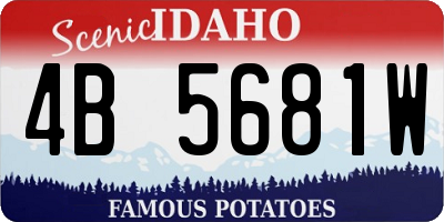 ID license plate 4B5681W