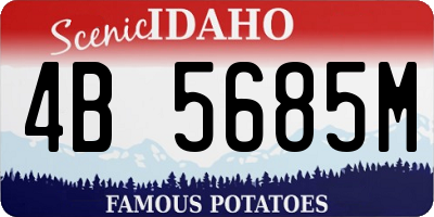 ID license plate 4B5685M