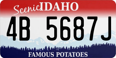ID license plate 4B5687J