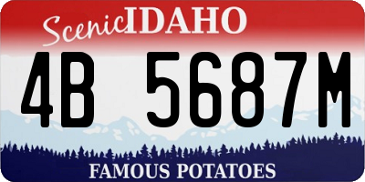 ID license plate 4B5687M