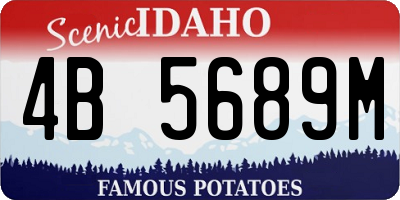 ID license plate 4B5689M