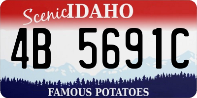 ID license plate 4B5691C