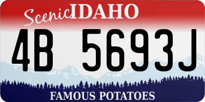 ID license plate 4B5693J