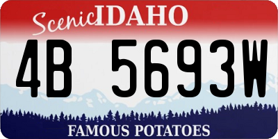 ID license plate 4B5693W