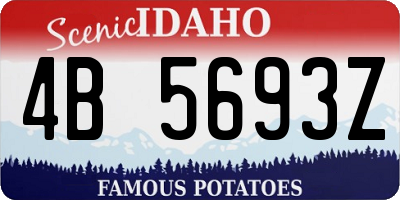 ID license plate 4B5693Z