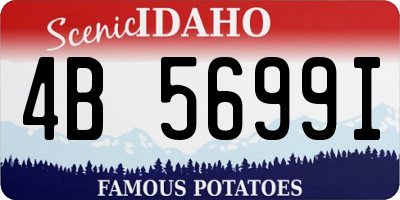 ID license plate 4B5699I