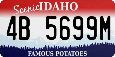 ID license plate 4B5699M
