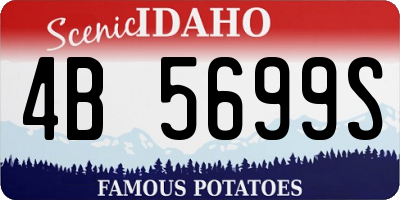 ID license plate 4B5699S