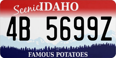 ID license plate 4B5699Z