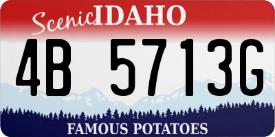 ID license plate 4B5713G