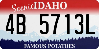 ID license plate 4B5713L