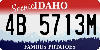 ID license plate 4B5713M