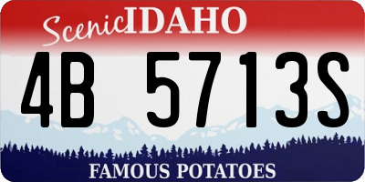 ID license plate 4B5713S