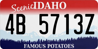 ID license plate 4B5713Z
