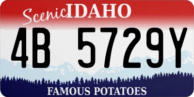 ID license plate 4B5729Y