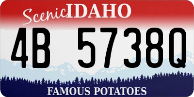 ID license plate 4B5738Q