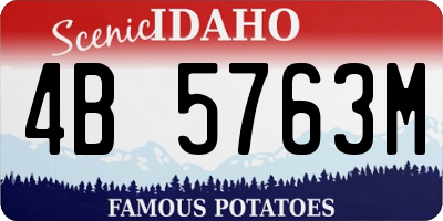 ID license plate 4B5763M