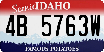 ID license plate 4B5763W