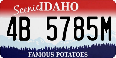 ID license plate 4B5785M