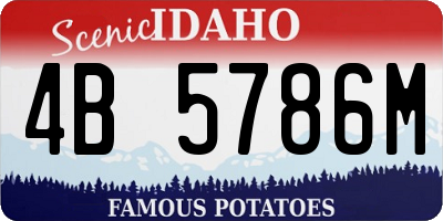 ID license plate 4B5786M