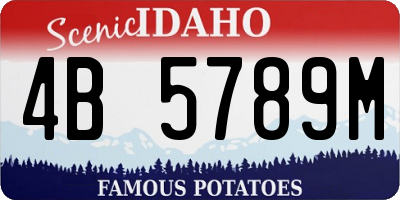 ID license plate 4B5789M