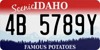 ID license plate 4B5789Y