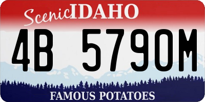 ID license plate 4B5790M