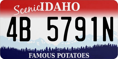 ID license plate 4B5791N