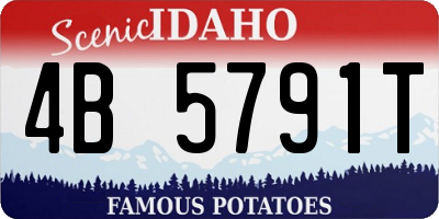 ID license plate 4B5791T
