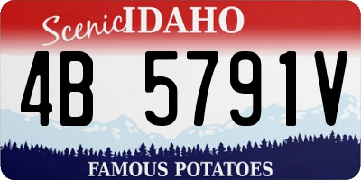 ID license plate 4B5791V