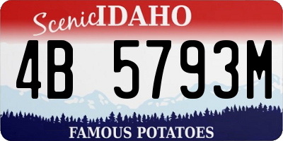 ID license plate 4B5793M