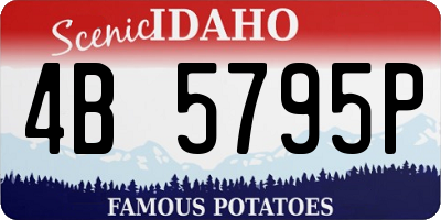 ID license plate 4B5795P