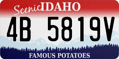ID license plate 4B5819V