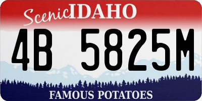 ID license plate 4B5825M