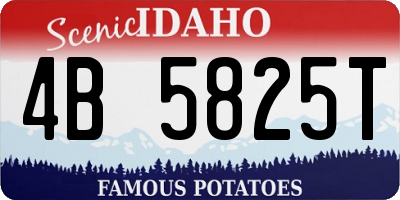 ID license plate 4B5825T