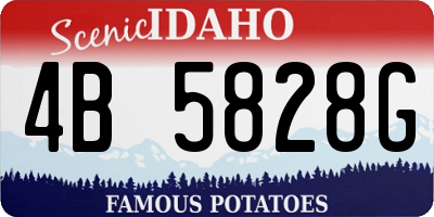 ID license plate 4B5828G