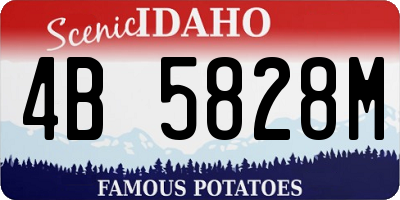 ID license plate 4B5828M