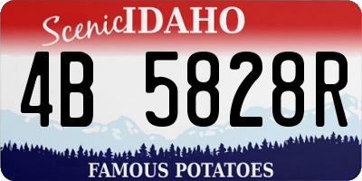 ID license plate 4B5828R