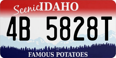 ID license plate 4B5828T