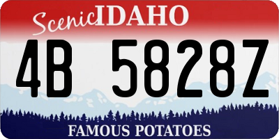 ID license plate 4B5828Z