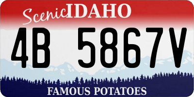 ID license plate 4B5867V