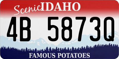 ID license plate 4B5873Q