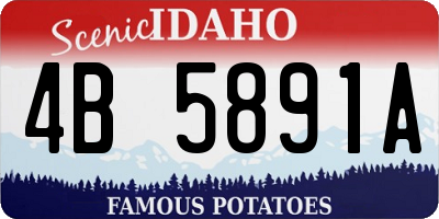 ID license plate 4B5891A