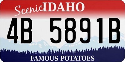 ID license plate 4B5891B