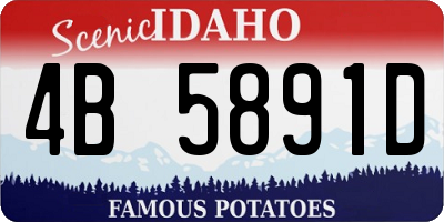 ID license plate 4B5891D