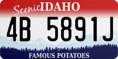 ID license plate 4B5891J