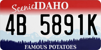 ID license plate 4B5891K
