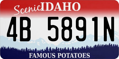 ID license plate 4B5891N