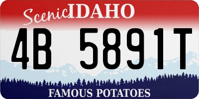 ID license plate 4B5891T