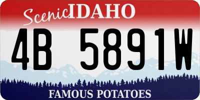 ID license plate 4B5891W